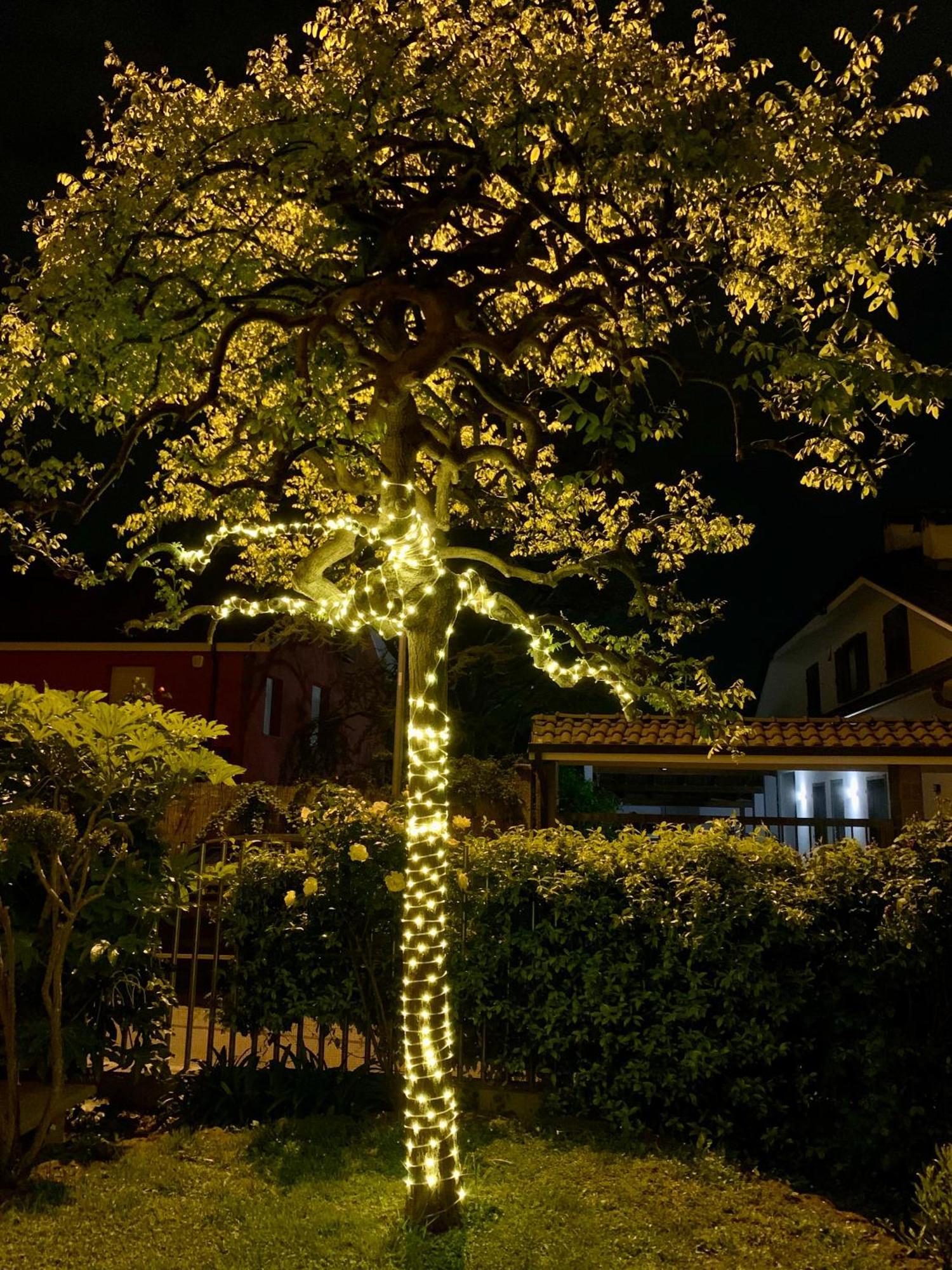 L'Angolo Verde Apartment モンカリエーリ エクステリア 写真